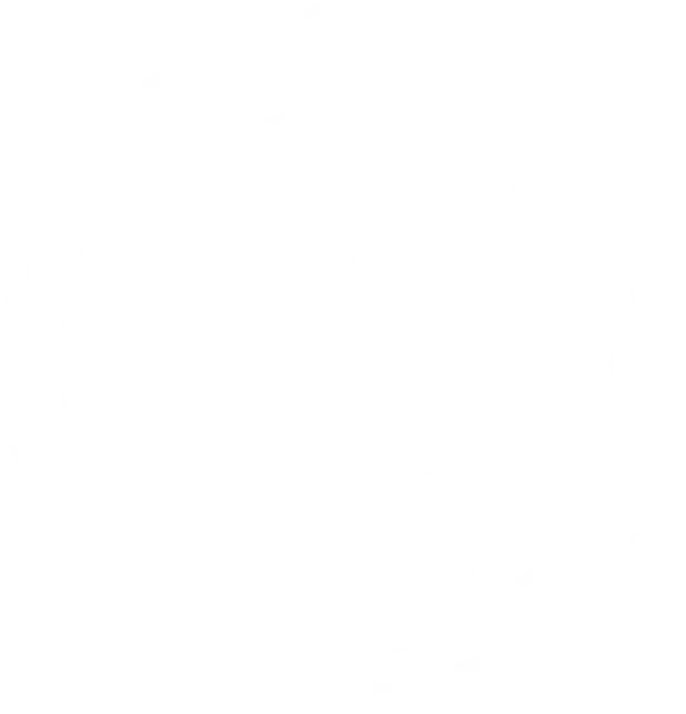 BitOra Logo