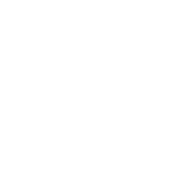BitOra Icon
